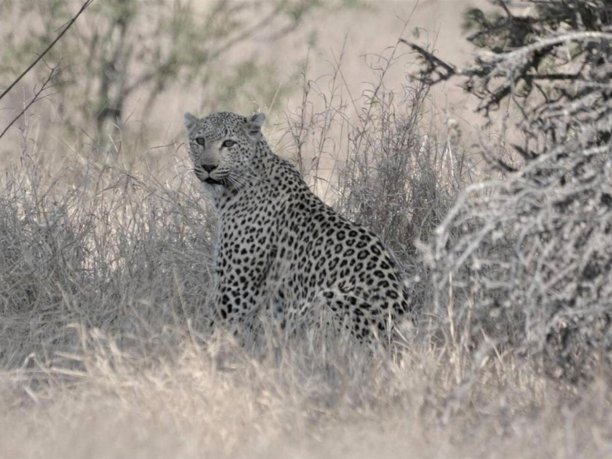 Chelesa By Kruger Nights Apartment Marloth Park Exterior photo
