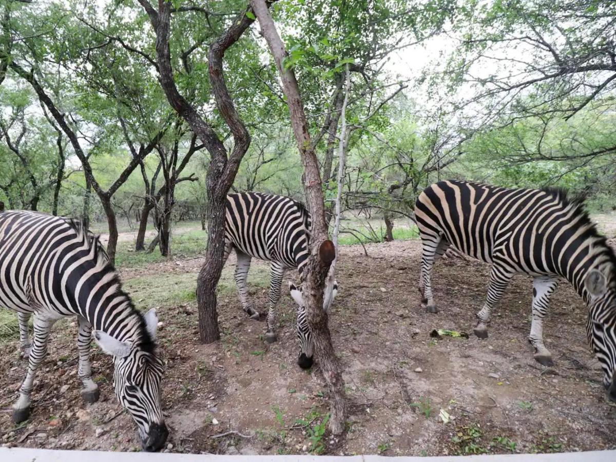 Chelesa By Kruger Nights Apartment Marloth Park Exterior photo